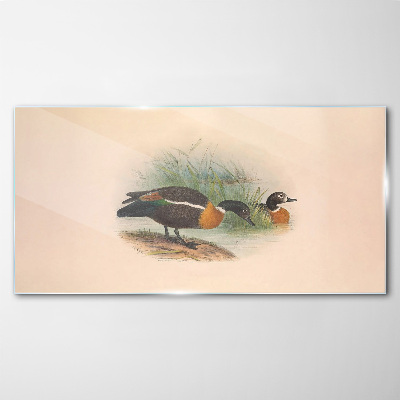 Two ducks in the grass Glass Wall Art