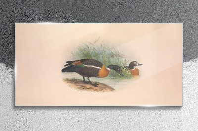 Two ducks in the grass Glass Wall Art