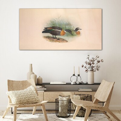 Two ducks in the grass Glass Wall Art