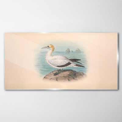 Sea bird in the water Glass Wall Art