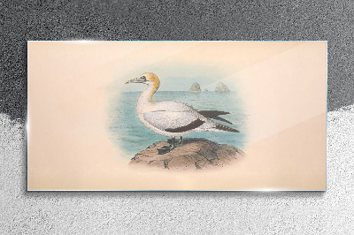 Sea bird in the water Glass Wall Art