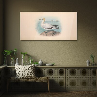 Birds animals figure Glass Wall Art