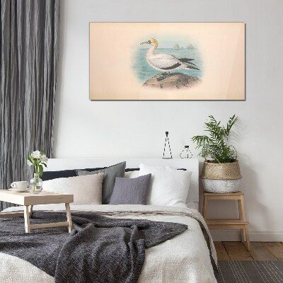 Birds animals figure Glass Wall Art