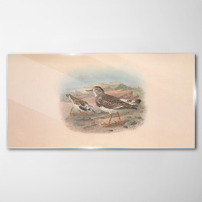 Birds in a desert landscape Glass Wall Art