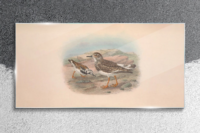 Birds in a desert landscape Glass Wall Art