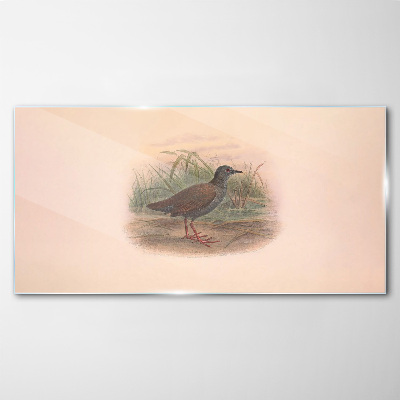 Birds animals figure Glass Wall Art