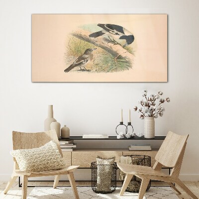 Birds animals Glass Wall Art