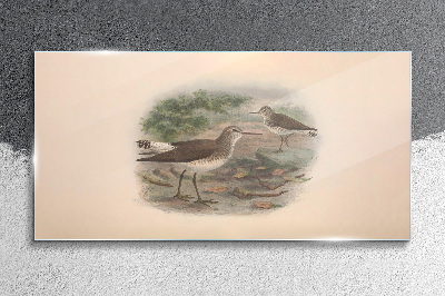Birds over the water Glass Wall Art