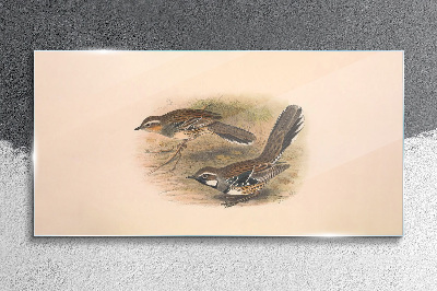 Birds in a delicate setting Glass Wall Art