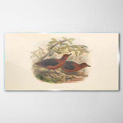 Birds animals Glass Wall Art