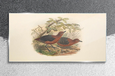 Birds in their natural habitat Glass Wall Art