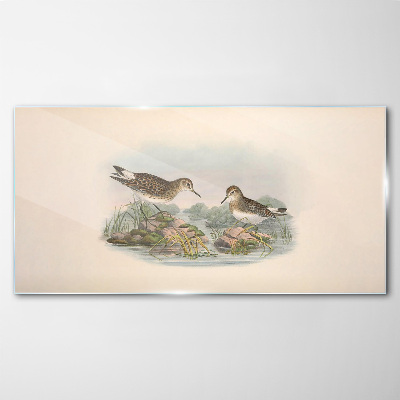 Birds by the pond in pastel colors Glass Wall Art