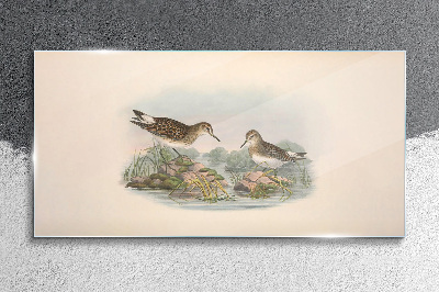 Birds by the pond in pastel colors Glass Wall Art