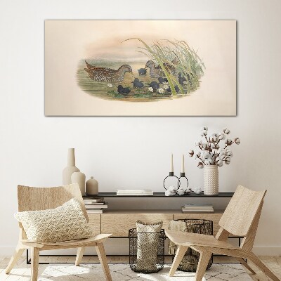 Duck families in a water environment Glass Wall Art