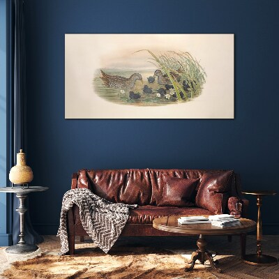 Duck families in a water environment Glass Wall Art