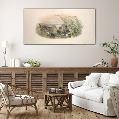 Duck families in a water environment Glass Wall Art