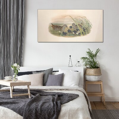 Duck families in a water environment Glass Wall Art