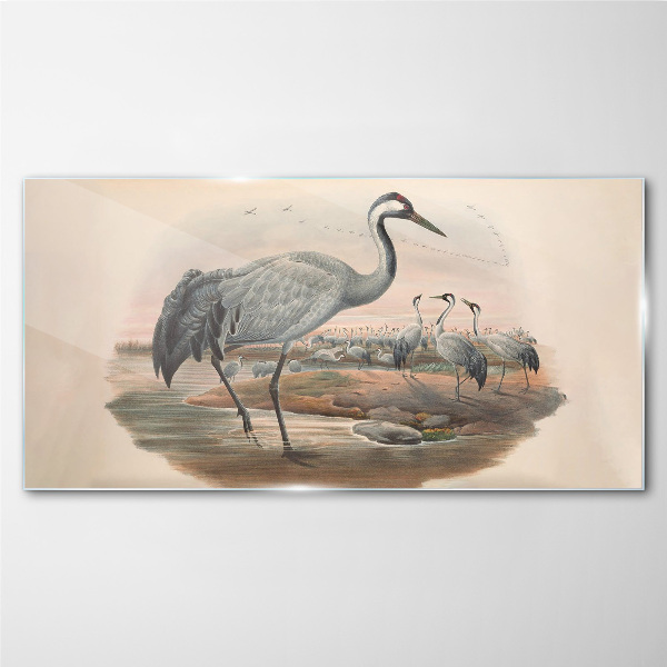 Lapwing on the water background Glass Wall Art