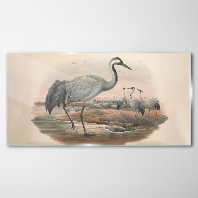 Lapwing on the water background Glass Wall Art