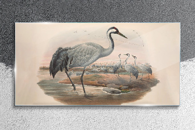 Lapwing on the water background Glass Wall Art