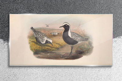 Birds in their natural habitat Glass Wall Art