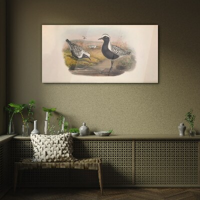 Birds animals Glass Wall Art