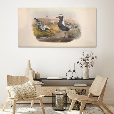 Birds animals Glass Wall Art