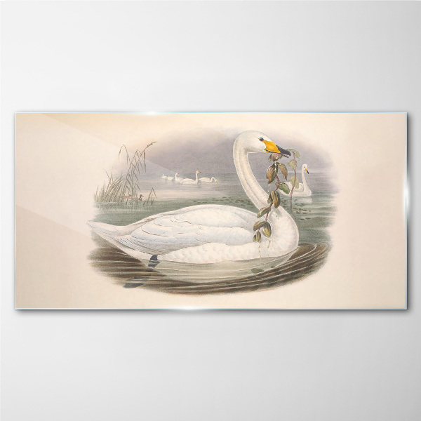 Swan with a branch Glass Wall Art
