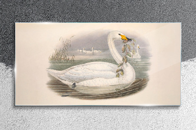 Swan with a branch Glass Wall Art