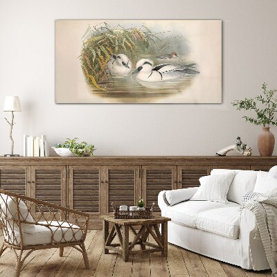 Birds animals figure Glass Wall Art