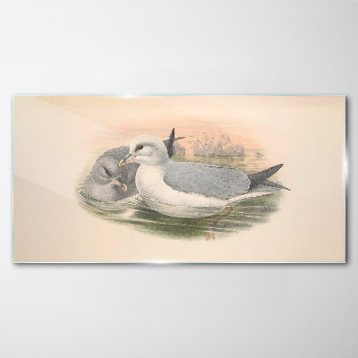 Seabirds in the calm water Glass Wall Art