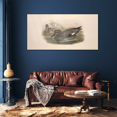 Ducks calm in their natural surroundings Glass Wall Art