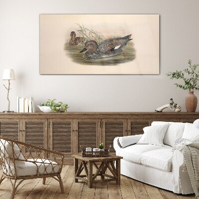 Ducks calm in their natural surroundings Glass Wall Art