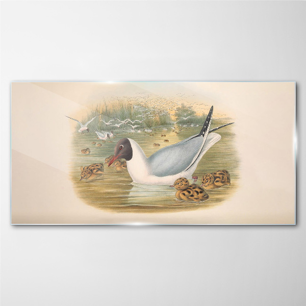 Seagull with young in the water Glass Wall Art