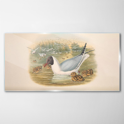 Seagull with young in the water Glass Wall Art