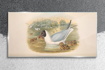 Seagull with young in the water Glass Wall Art