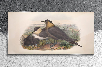 Family of birds on the nest Glass Wall Art