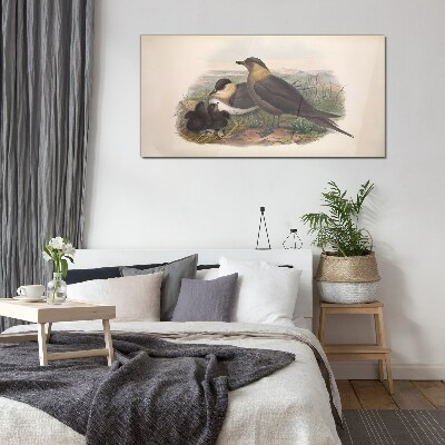 Birds animals Glass Wall Art