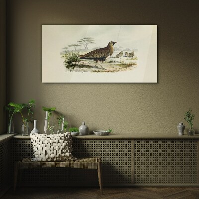 Birds wild animals Glass Wall Art