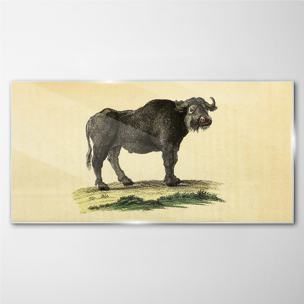 Buffalo on a natural background Glass Wall Art
