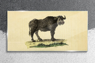 Buffalo on a natural background Glass Wall Art