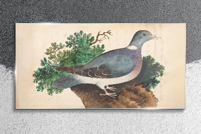 A dove against a green background Glass Wall Art