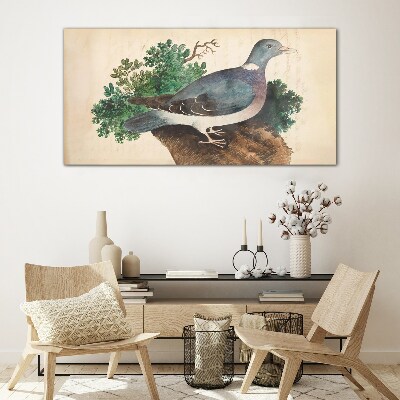 A dove against a green background Glass Wall Art