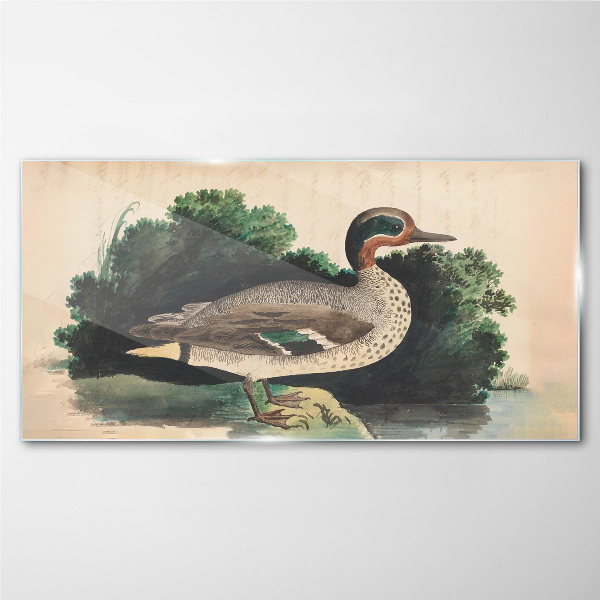 A duck surrounded by greenery Glass Wall Art