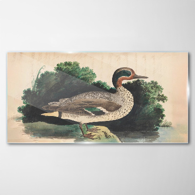 A duck surrounded by greenery Glass Wall Art