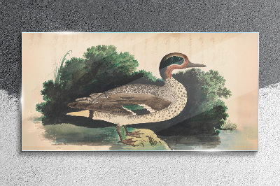 A duck surrounded by greenery Glass Wall Art
