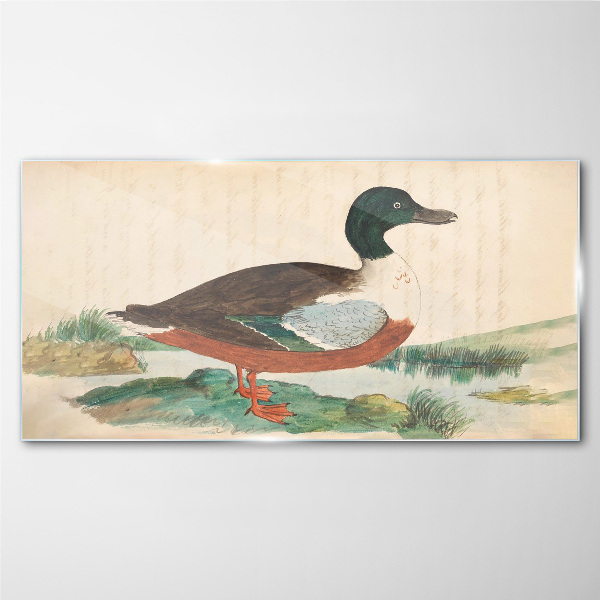 Duck against the green background Glass Wall Art