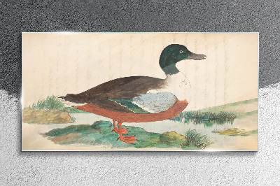 Duck against the green background Glass Wall Art