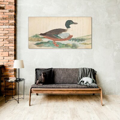 Duck against the green background Glass Wall Art