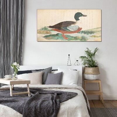 Duck against the green background Glass Wall Art